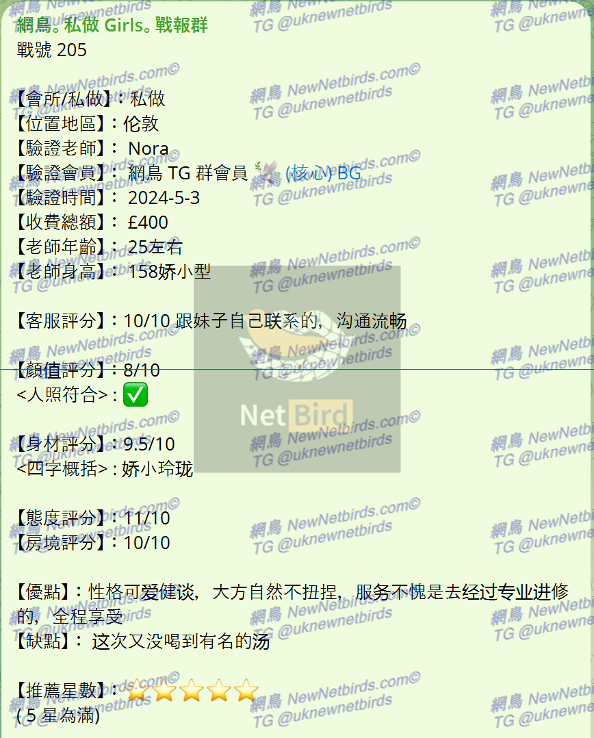 戰號 205 2.png